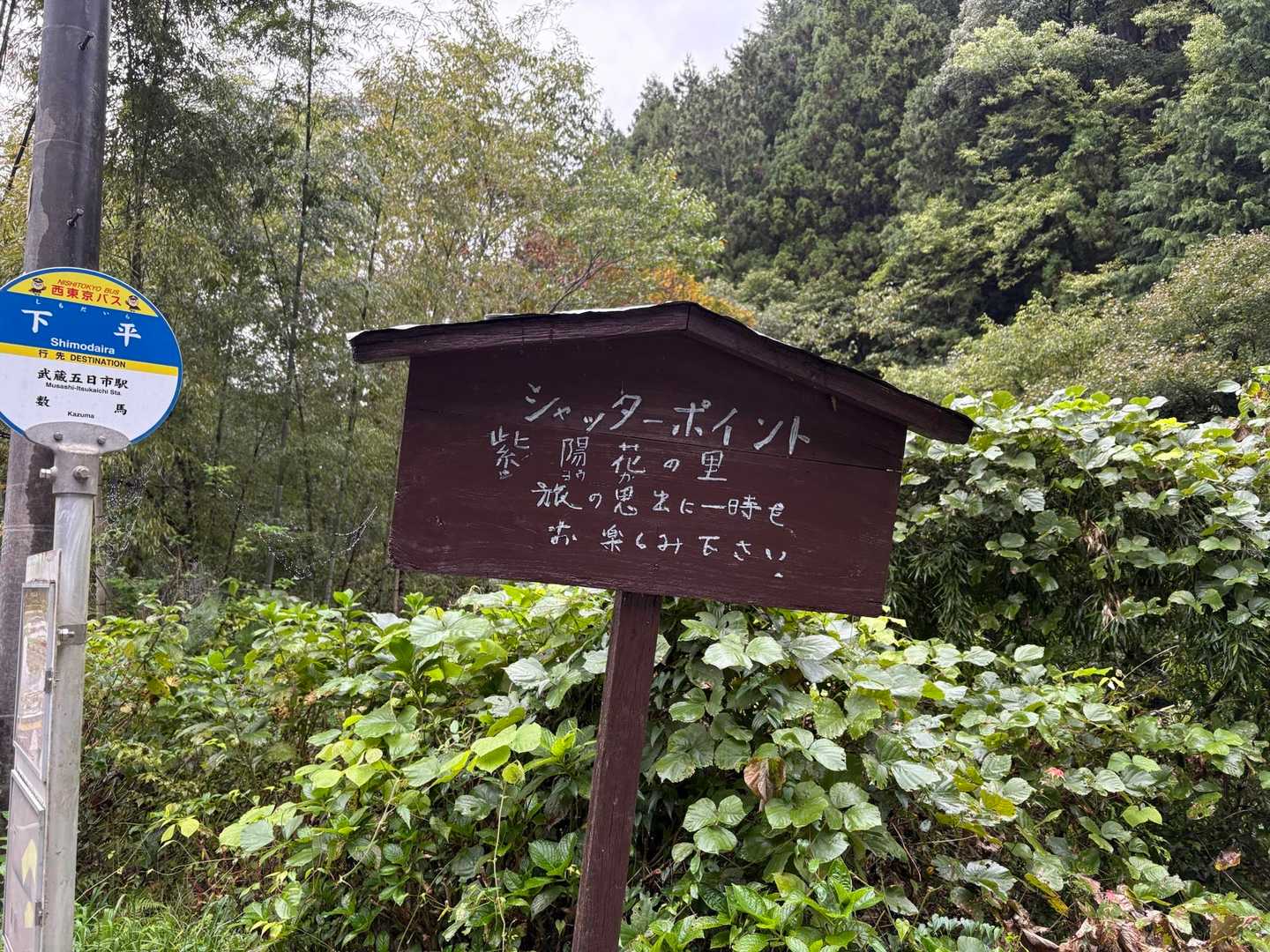 紫陽花のシャッターポイントらしい