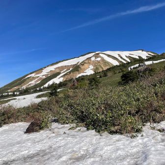 エコーラインの雪は斑に消えてる