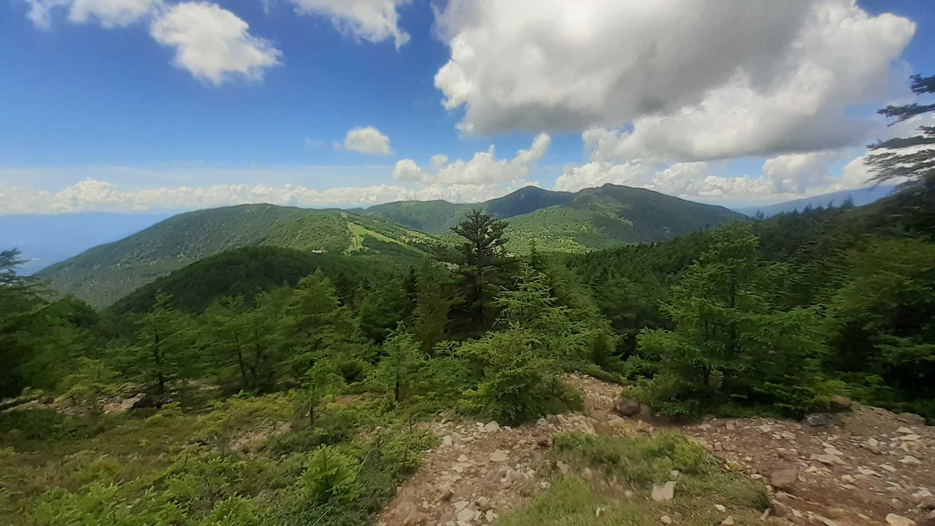 中コース唯一の眺望  籠ノ登山方面