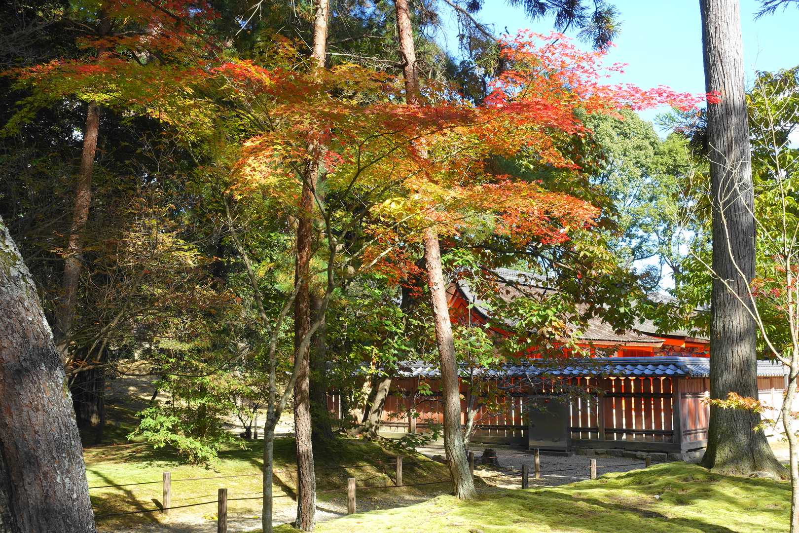 仁和寺-仁和寺八十八ヶ所ウォーク入口-成就山-御室八十八個 周回コースの写真