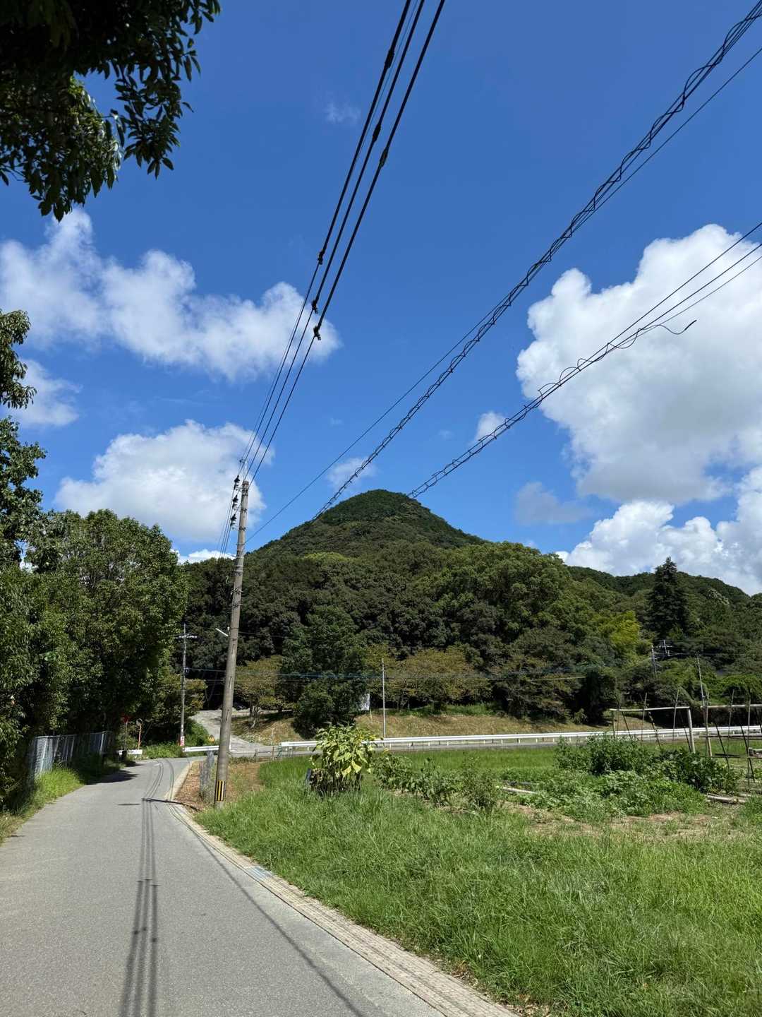 宮地山-在自山 往復コースの写真