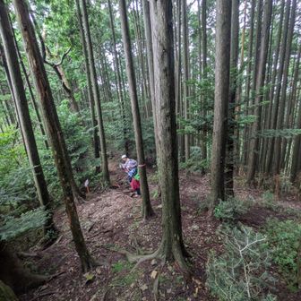 半作峠迄戻りました。
と、此処で🌧️半作嶺は又の機会
一度登っている、全員一致で登山口に降ります。😃