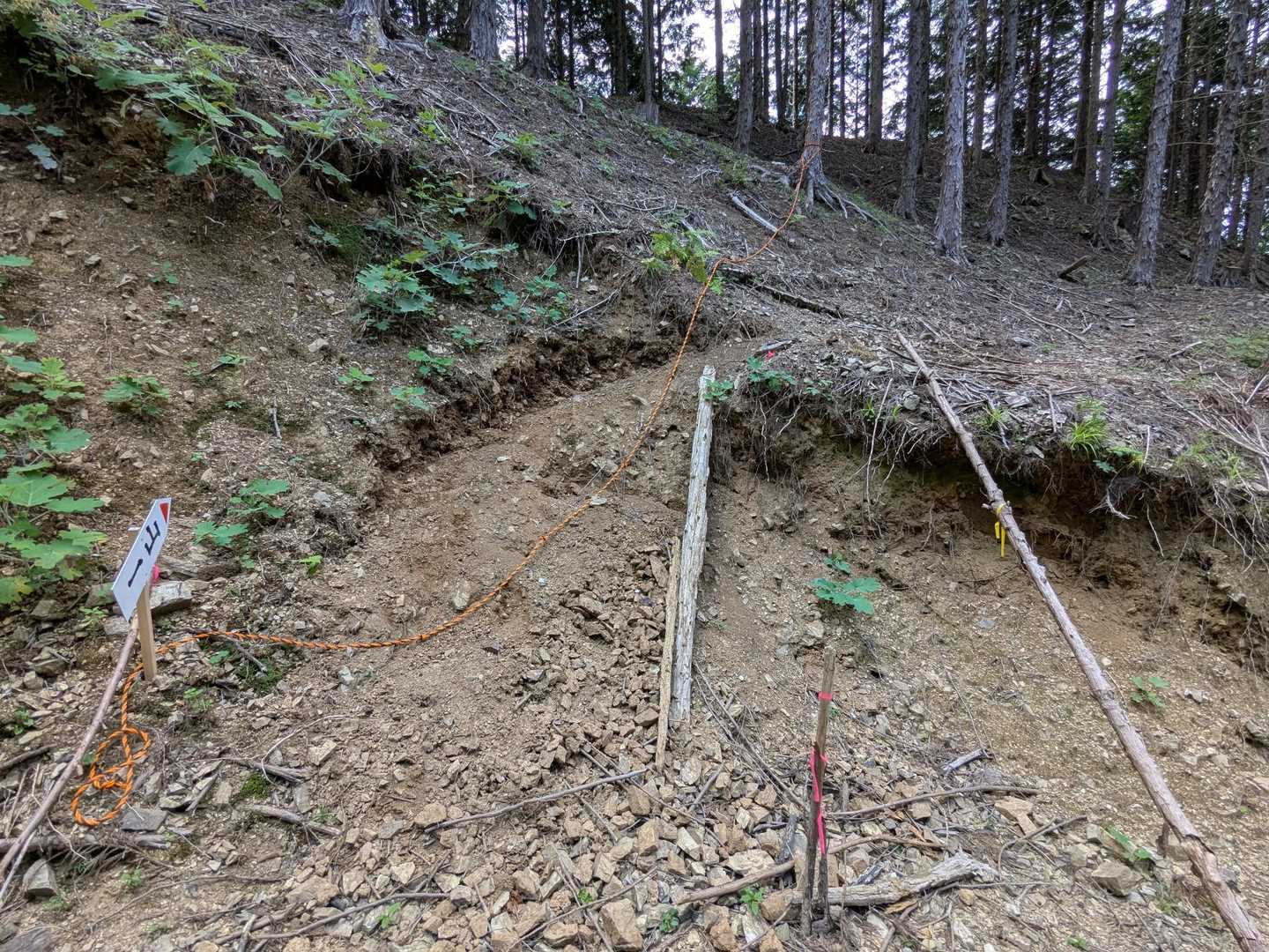作業道に下りました