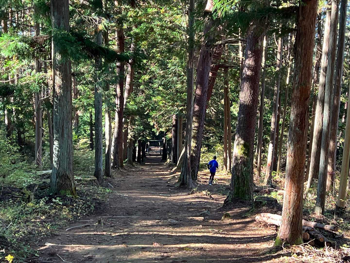 たつさんを追いかけて💨はえぇ