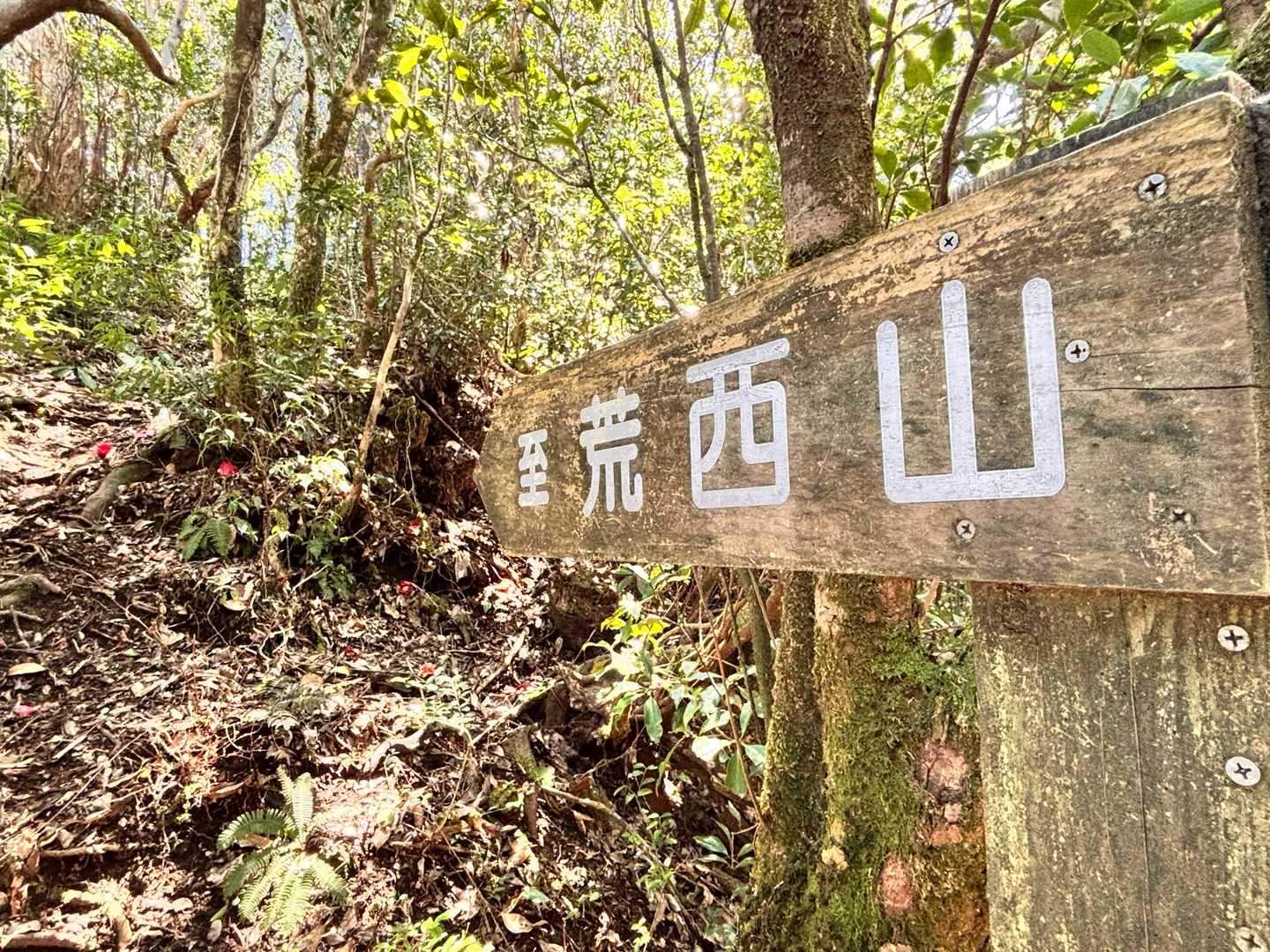 では荒西山へ𝕃𝕖𝕥'𝕤 𝕘𝕠･*