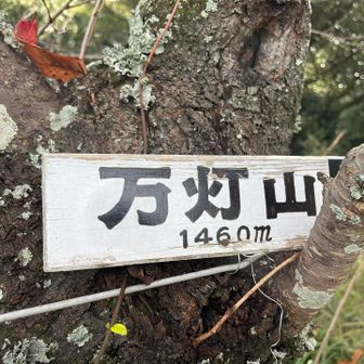 久しぶりの万灯山です。