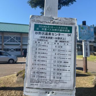 写真を撮ったのに乗り遅れました。苗名の滝からもバスは出てますが、妙高高原駅の直通はない為、ビジターセンターで乗り換える必要があります。