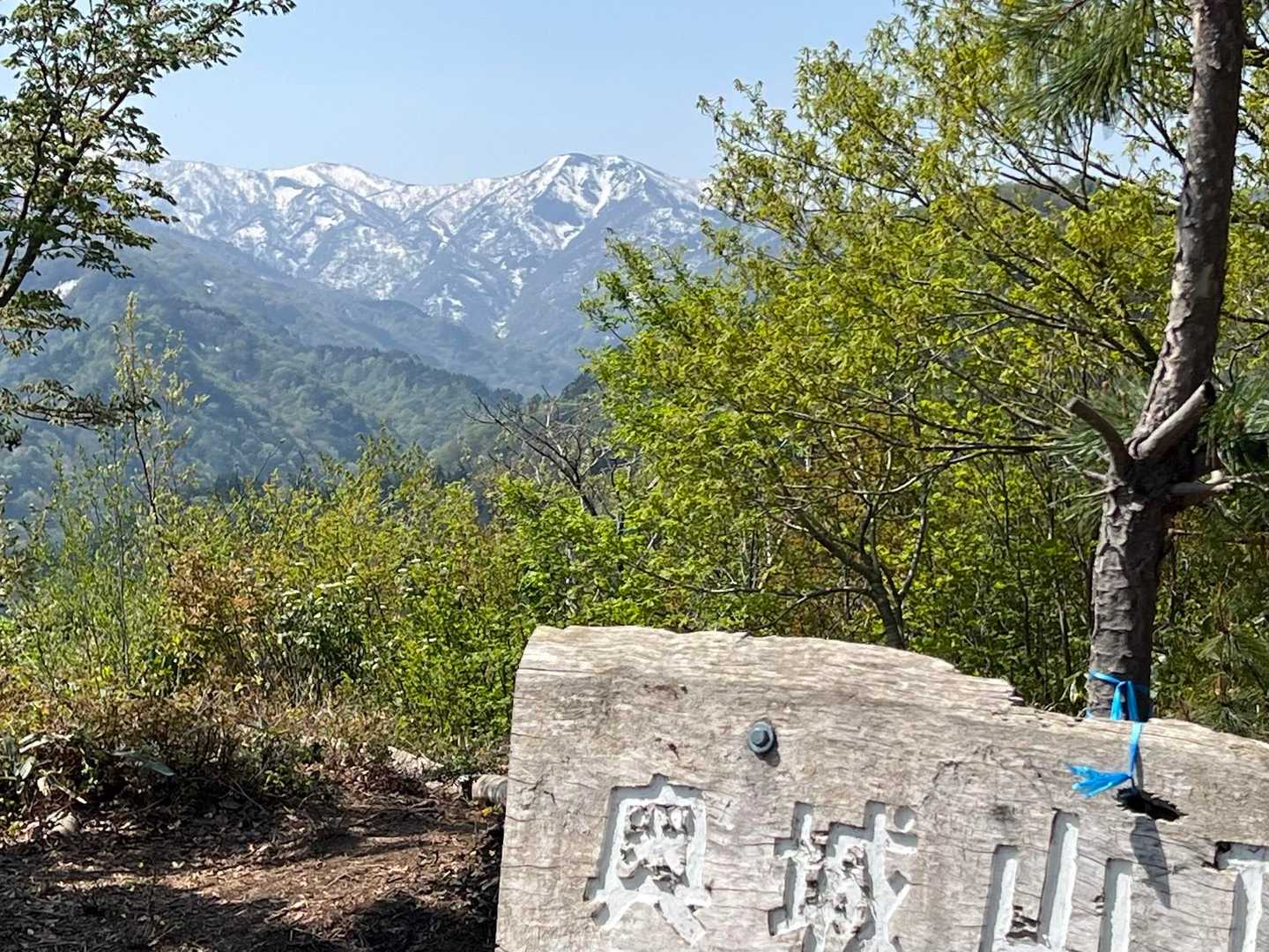 大杉みどりの里バス停-城山-大鶴山-大杉神社 周回コースの写真