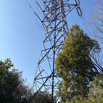 ここで巨大なイノシシ🐗前を通り過ぎる