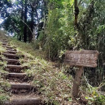 登山道終了