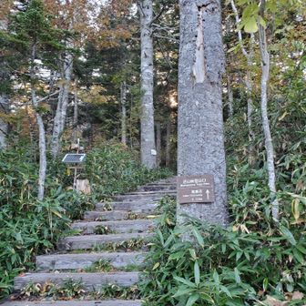 沼山峠登山口まで下りてきました