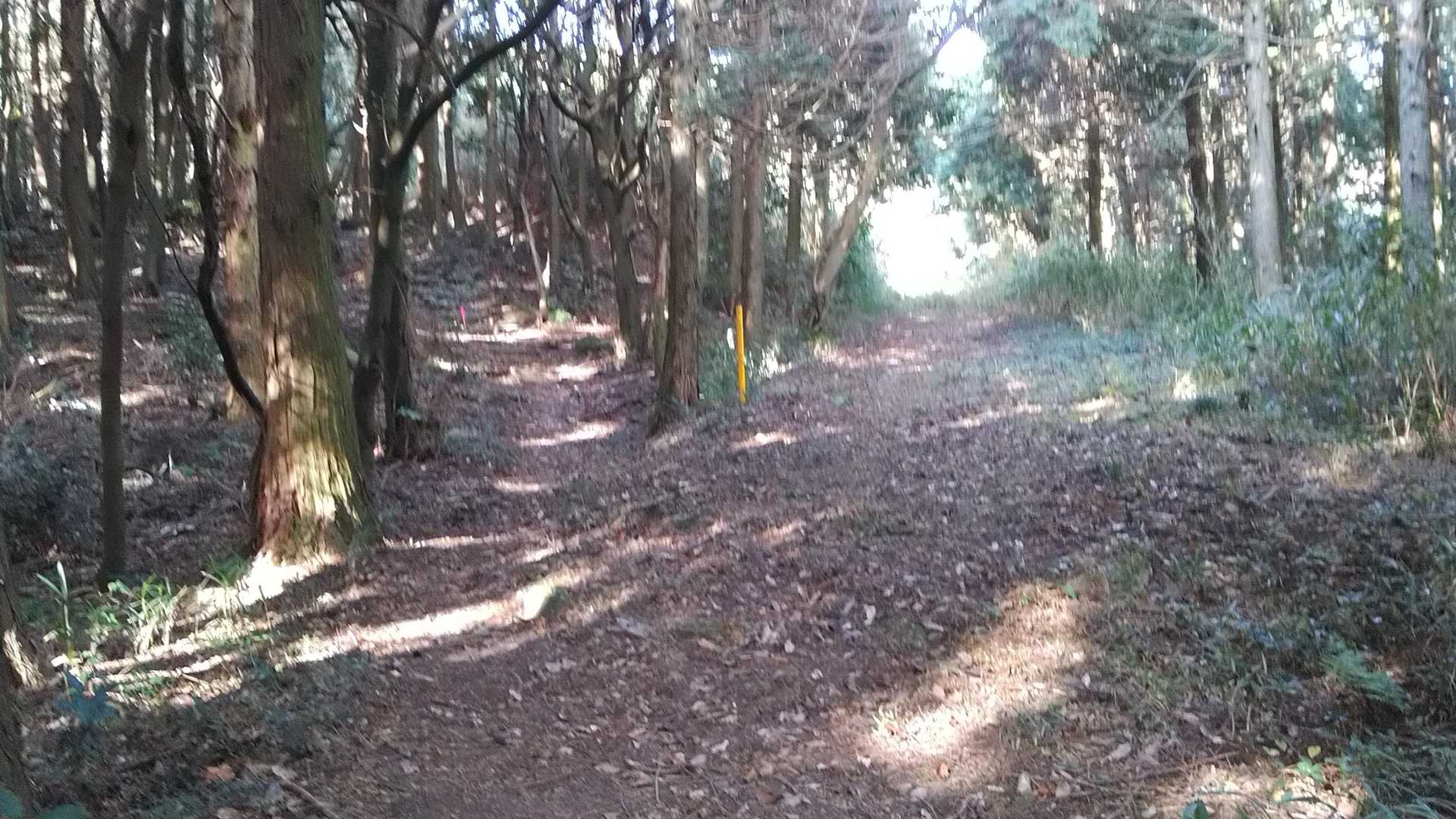 分岐は右へトラバース