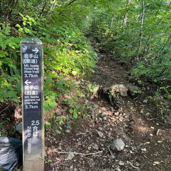 行きは新道を選択🧗‍♀️