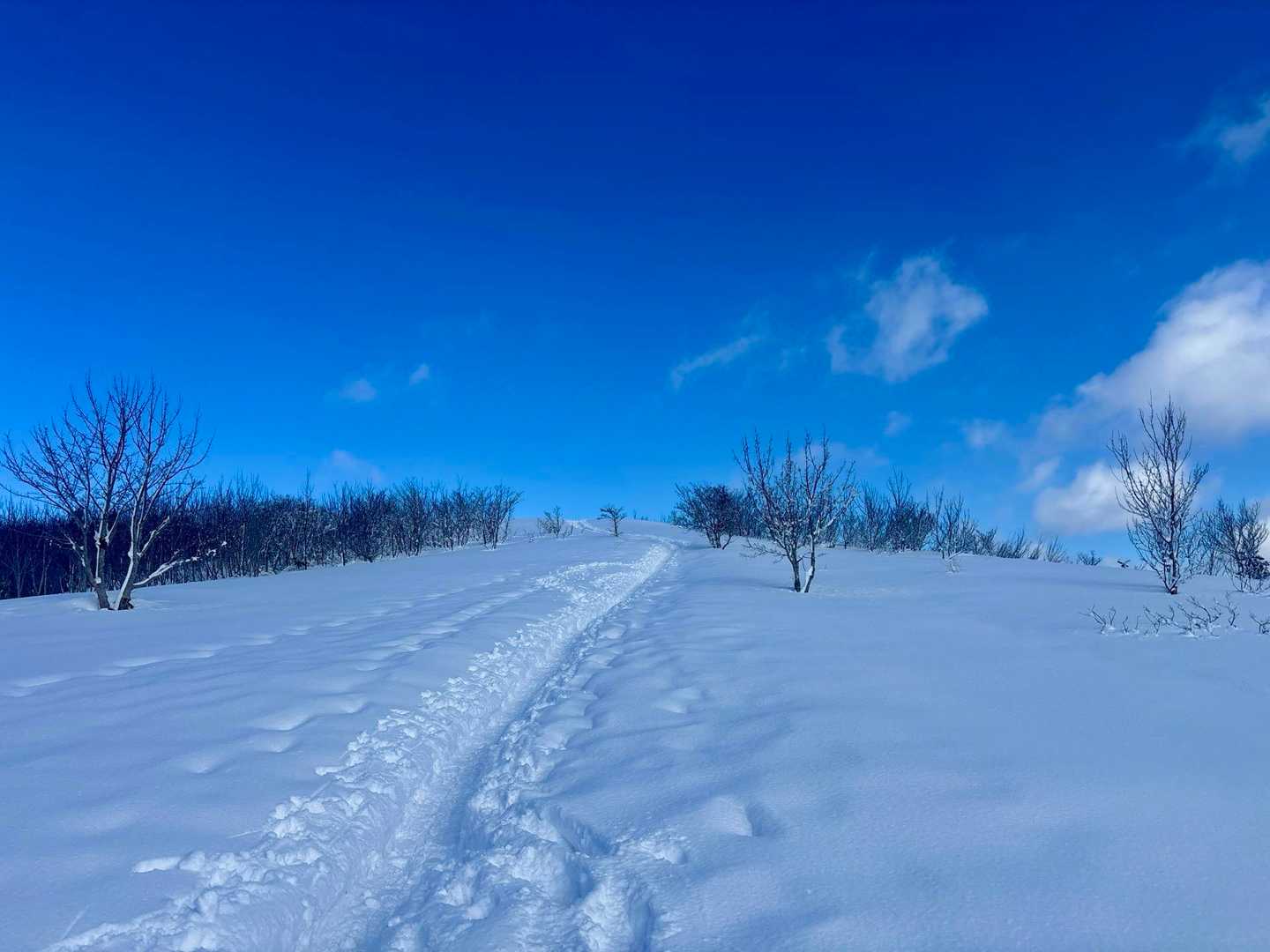 チェンスパもすごく歩きやすかったですが、スノーシューは想像をはるかに上回る快適さです✨
グイグイ登れます♪