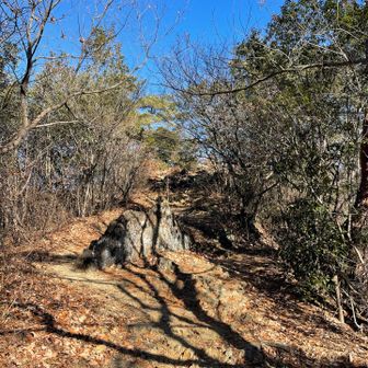 緩やかな岩場の登りが楽しい。