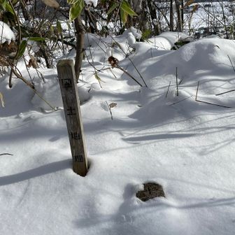 萩の山の三角点に到着ー🙌