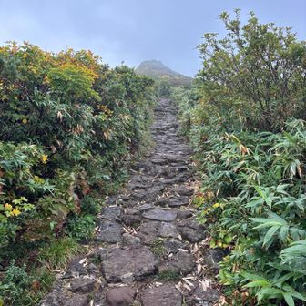 朝はガスっています