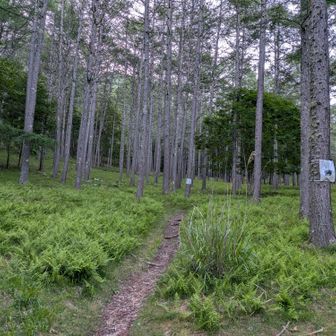 スタート
もう少し下に登山口があったのか〜😅