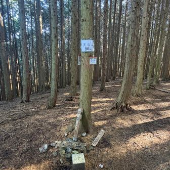 天台山さんちょ