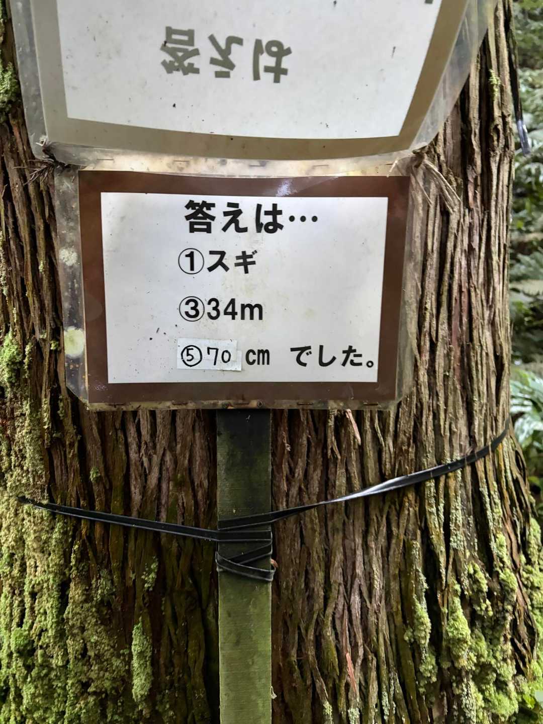 ③は更新されたのかなー