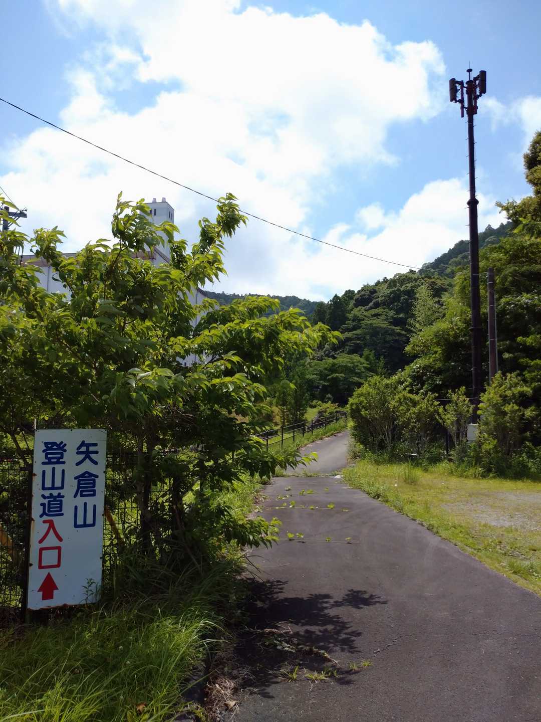 登ります！