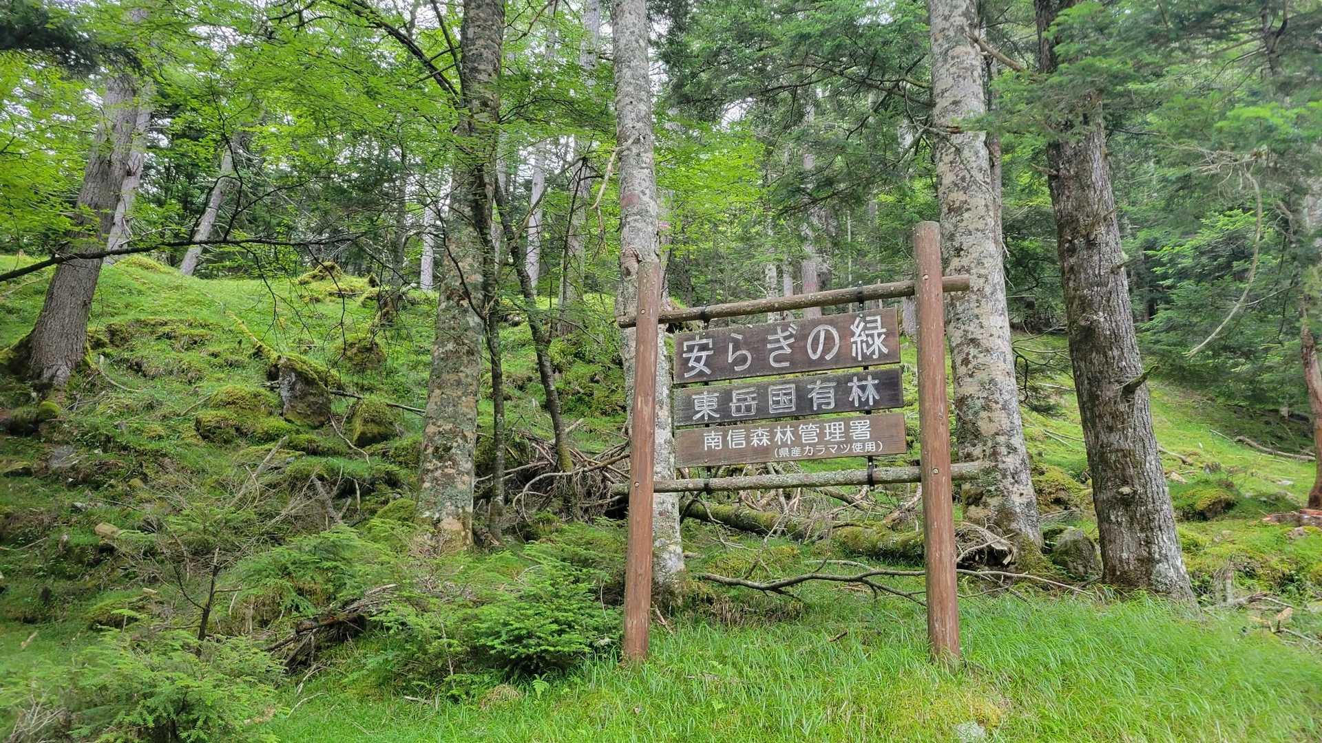 箕冠山 | コマクサ群落が見事な八ヶ岳の静かな峰。非対称山稜のなだらかな西麓からの写真