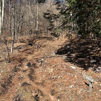 こっちでした↖️