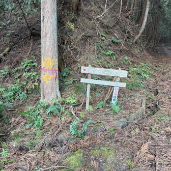 いざ入山🚶‍♀️