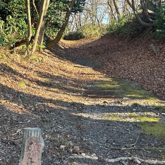 砺波山や火牛の計へ向かう道
落ち葉🍂の絨毯が気持ちいい