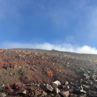 山肌がよく見えてきて、富士山に登ってるなーと思いながらゴロゴロした登山道を進む