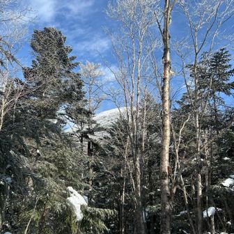 ここからが蓼科山本番