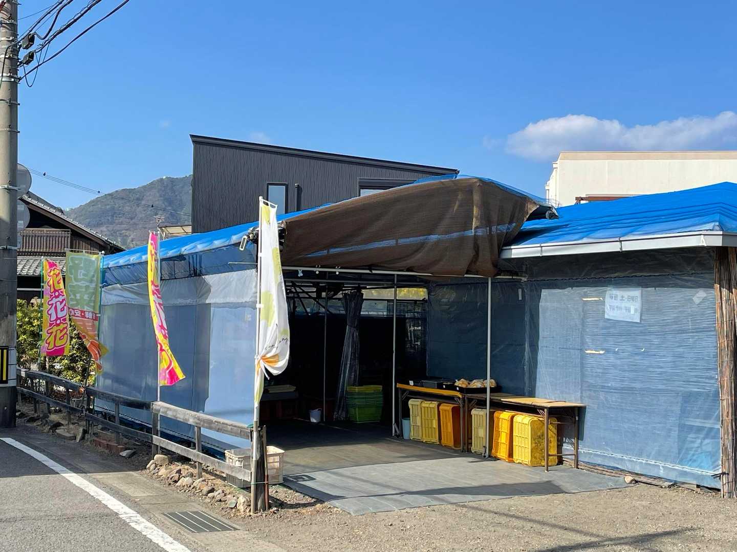 目標の紀伊宮原まで13km
思ったよりキツイみかん山🍊に湯浅まで歩けるかなぁ…と弱気になってました💦
このお店で🍊買おうかと入ったけれど、もうすでに完売との事😂残念すぎる〜😭

すると女将さんが「ツラ悪いけど美味しいからどうぞ」と🍊をお裾分けして下さいました🥹
クタクタだったので椅子に座らせてもらってとても美味しい🍊を頂いたら疲れが一気に吹き飛び、優しいおもてなしに大変感動しました😭
一期一会に感謝🙏
