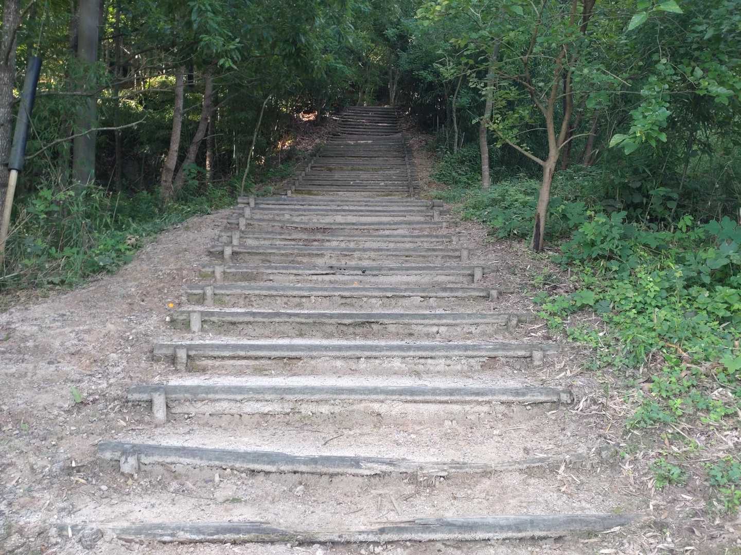 鏡山 往復｜山頂まで車でラクラク！ 展望や史跡を楽しむ唐津の名山の写真