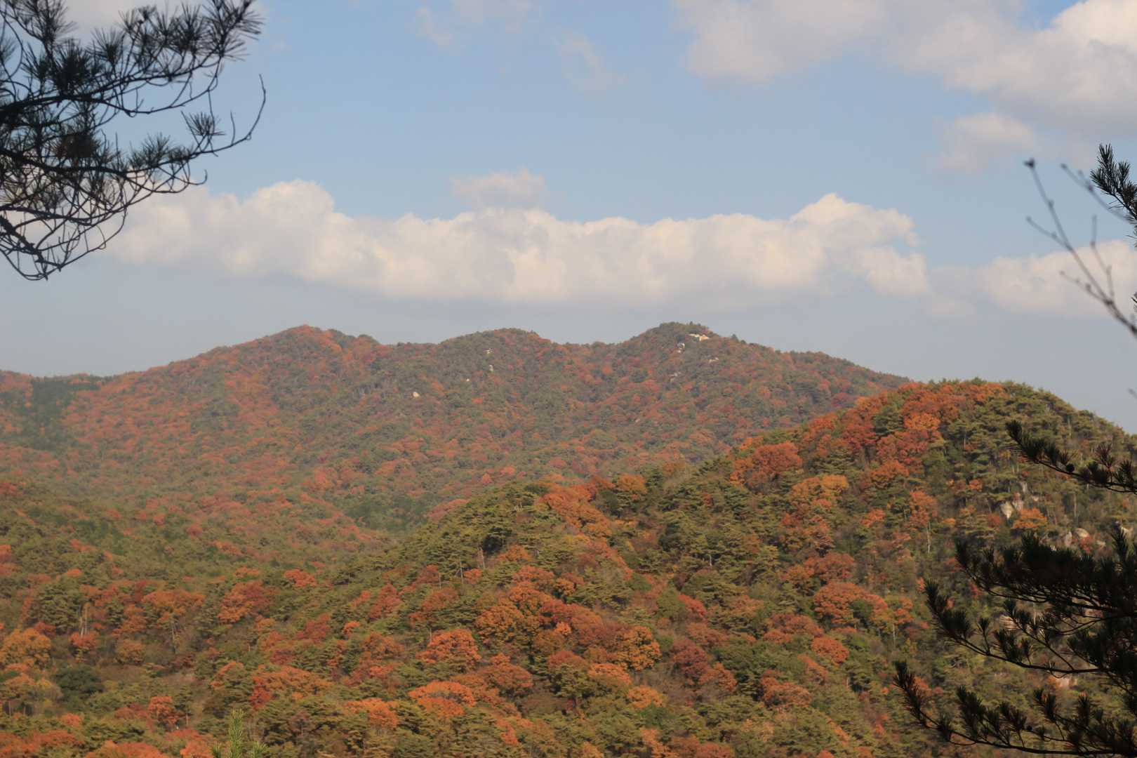 展望が開けるとおむすび山と権現山
山肌がいい感じ