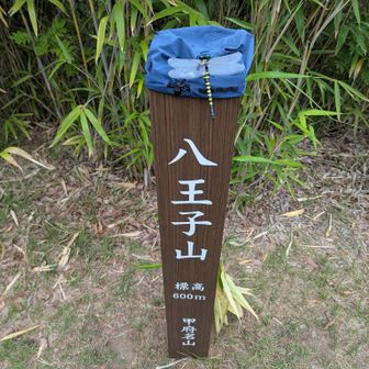 到着！甲斐百山だよ〜！