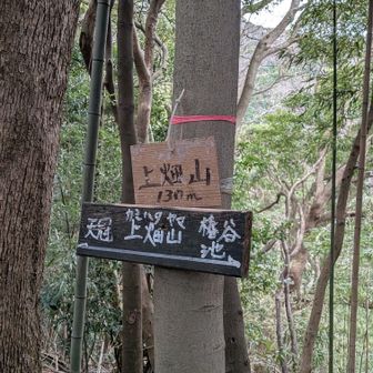 上畑山⑬