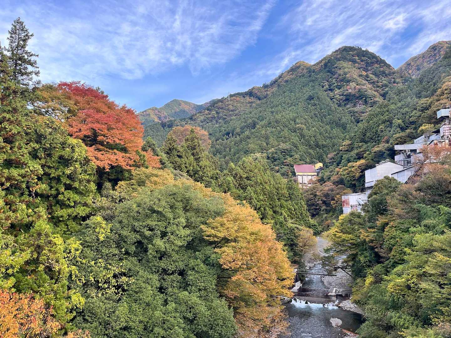 奥多摩駅-本仁田山-瘤高山-大根ノ山ノ神-鳩ノ巣駅 縦走コースの写真