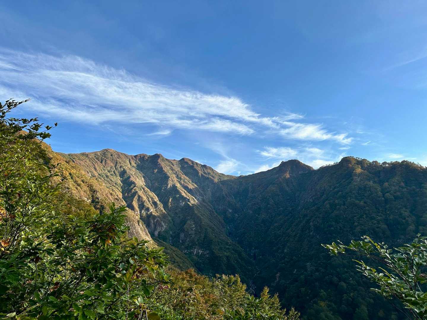 大白川登山口-守門岳 往復コースの写真