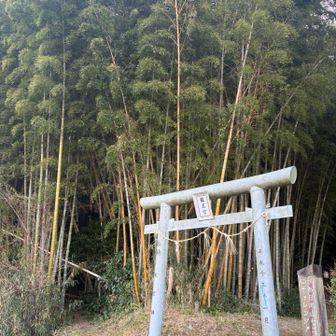 さぁ行きますか〜