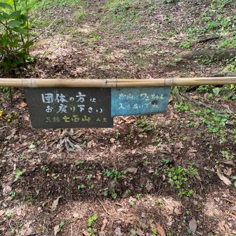 個人なので、、いいですよね