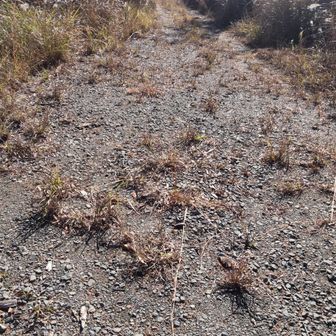 途中まで車両通行可能な道