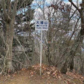 大幡山登頂〜
この手前もまあまあ急登で旦那さんがシャリバテ気味なので、小休止。
でも座る場所はない