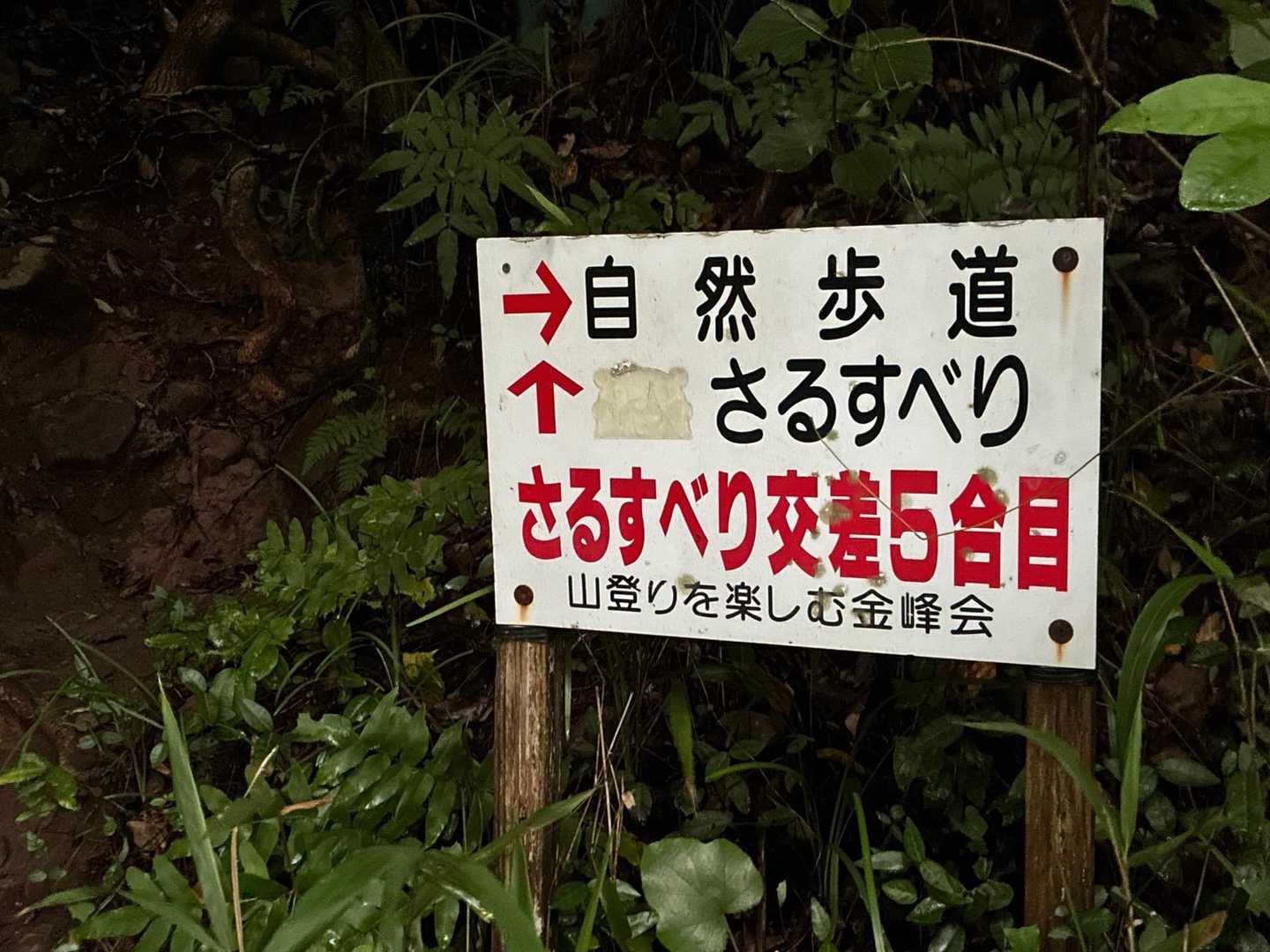 さるすべりコースへ
