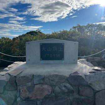 南国パラダイス