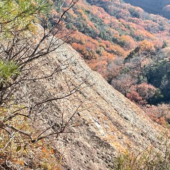 迂回路から見た斜度のヤバさよ…
(クライミングする方、舐めたこと言っててごめんなさい💦)