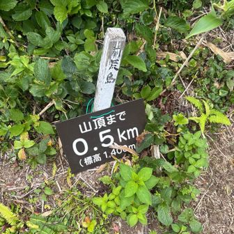 あと少し、ピーク通過