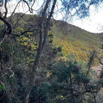 結構遠いなぁ
それに思ったより冷える