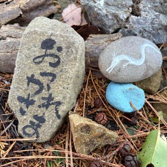 石🪨に白龍が彫ってありました🤩