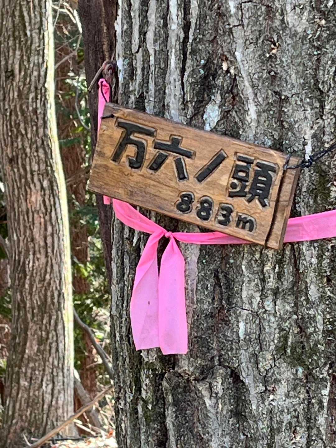 初めて登った。