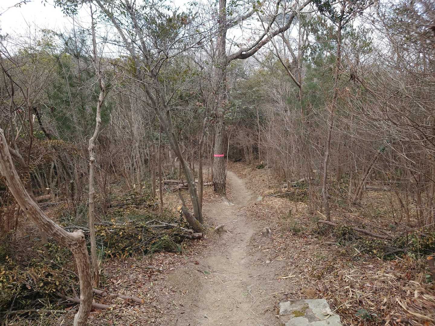 いつも綺麗に整備されてます。
ありがとうございます🙇